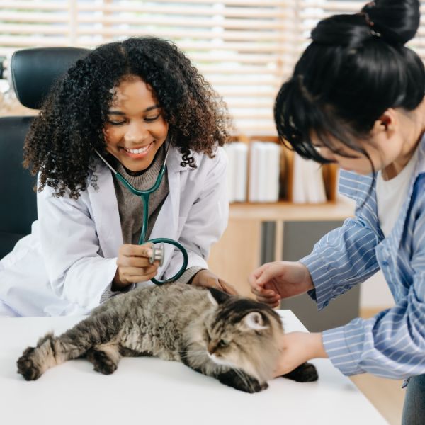 Médica veterinária com cão no laboratório