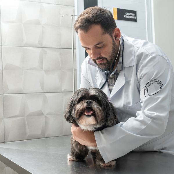 Médica veterinária com cão no laboratório