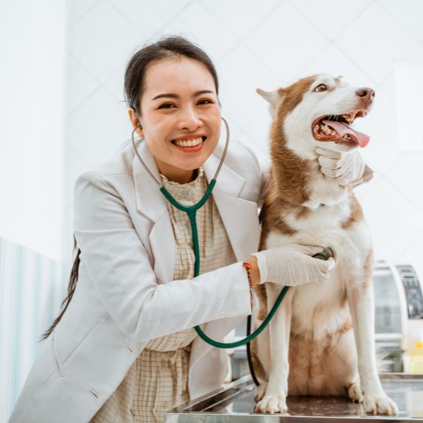 Médica veterinária com cão no laboratório